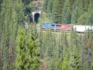 Fig-12 CPR freight train about to enter the upper portal of the Lower Spiral Tunnel