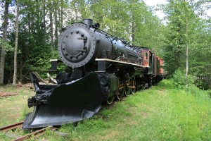 Baldwin S118-class 2-8-2 number 195 on display behind trees next to the Skagway museum.