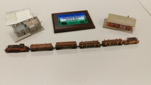 Chip Van Gilder's 3D printed SW1 with log cars and 3D printed caboose